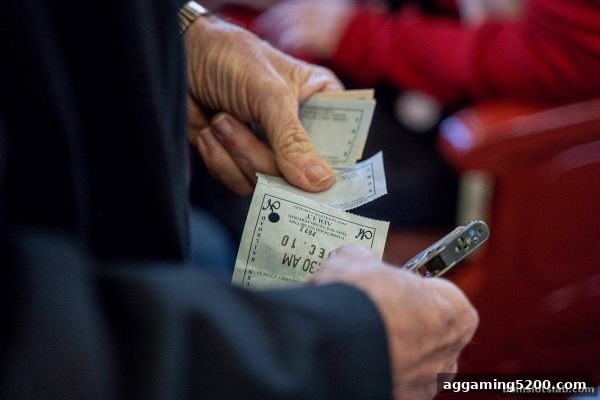 bbin电子深度解析：打鱼机游戏中的彩票机制与互动玩法全攻略