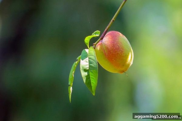 bbin电子签到奖励全攻略：玩法、技巧与收益最大化